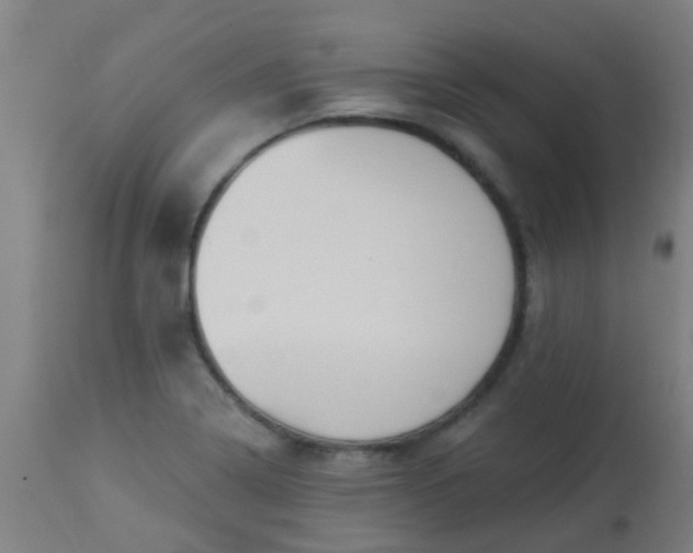 X0000114181322200910221704