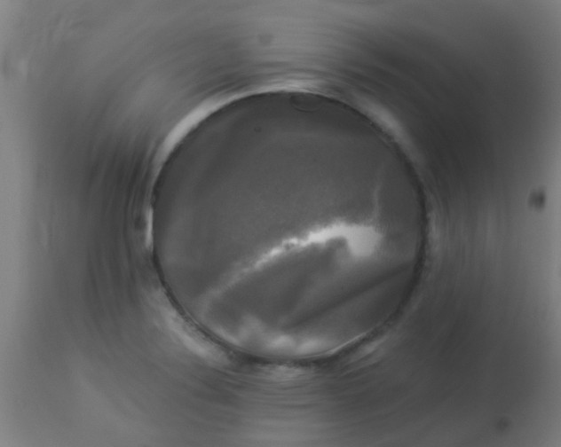 X0000114181324200910221704