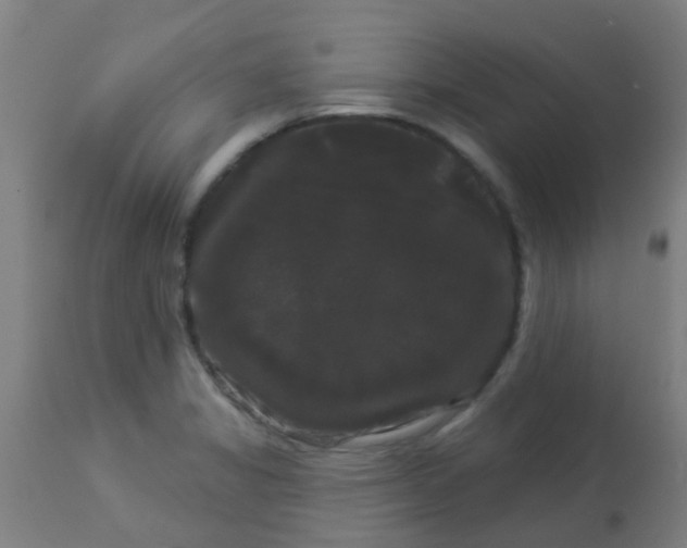 X0000114181325200910221705