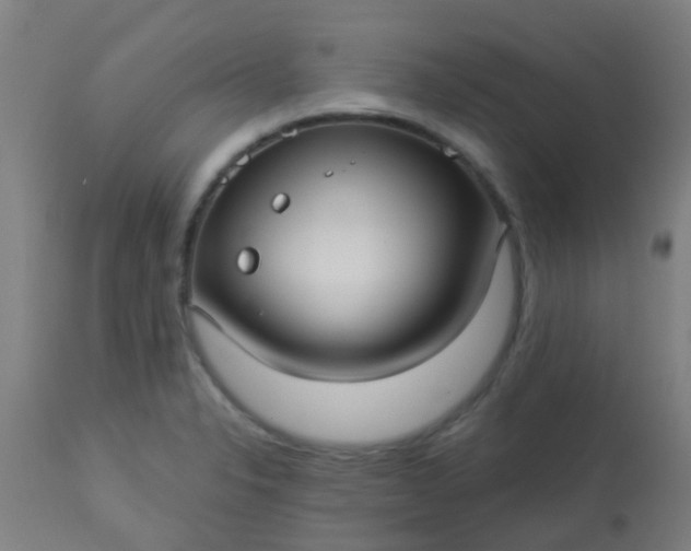 X0000114181326200910221705