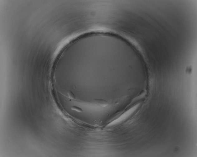 X0000114181327200910221705