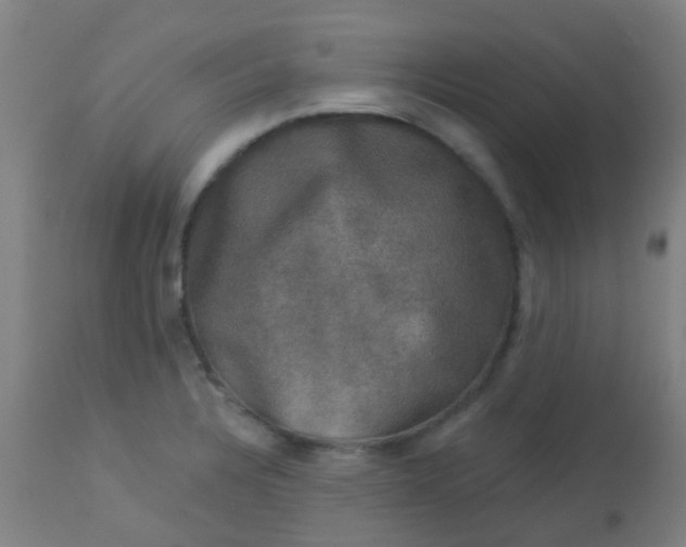 X0000114181328200910221705