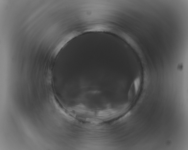 X0000114181329200910221705