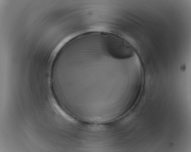 X0000114181331200910221705