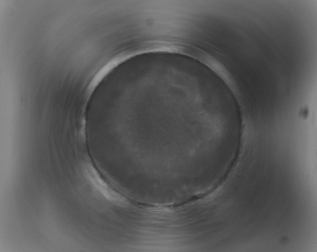 X0000114181332200910221705