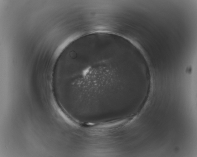 X0000114181333200910221705