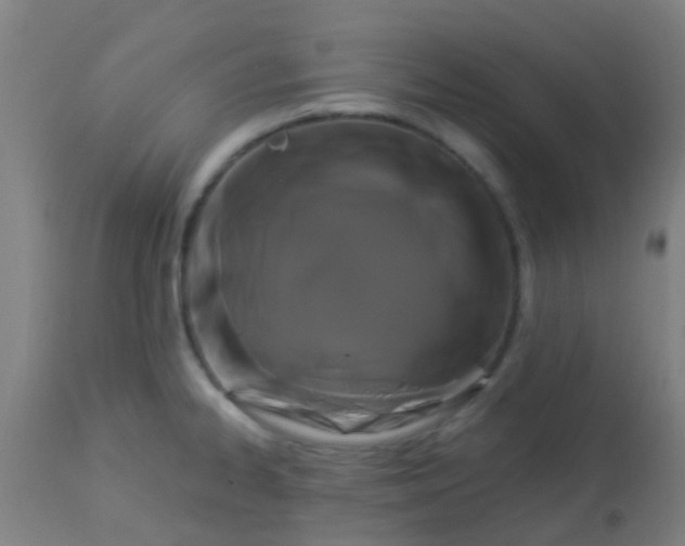 X0000114181334200910221705