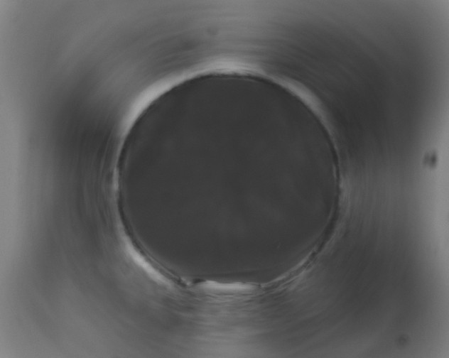 X0000114181335200910221705