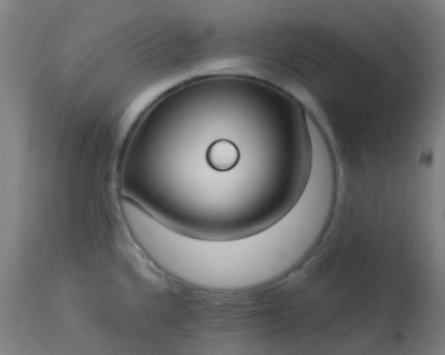 X0000114181336200910221705