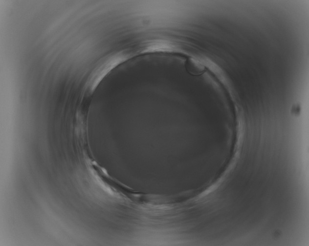 X0000114181337200910221705