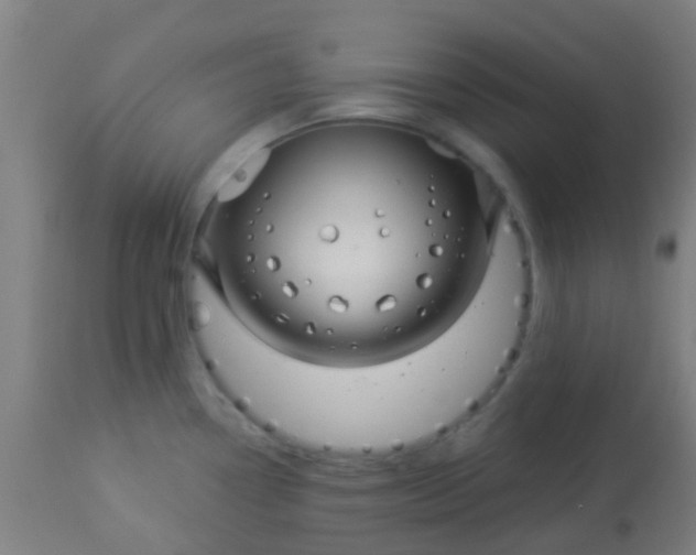 X0000114181338200910221705