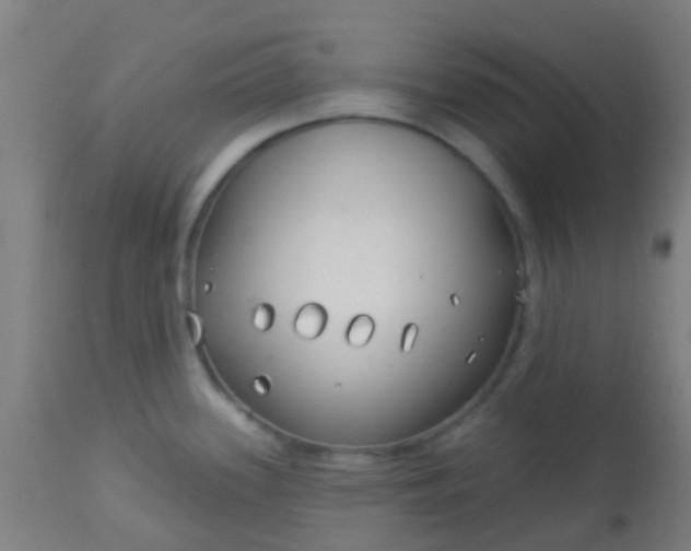 X0000114181339200910221705