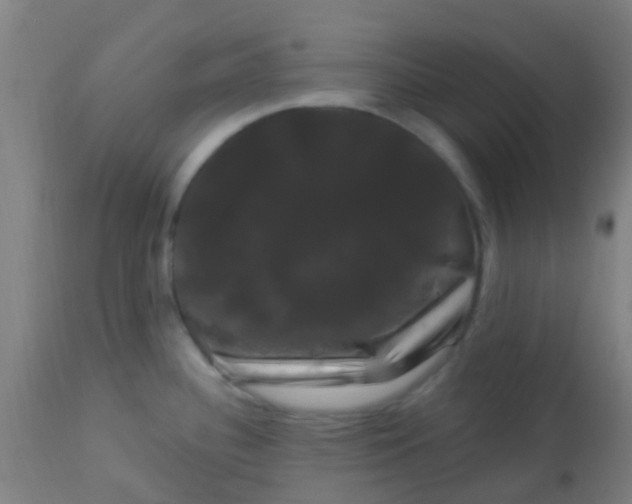 X0000114181340200910221705