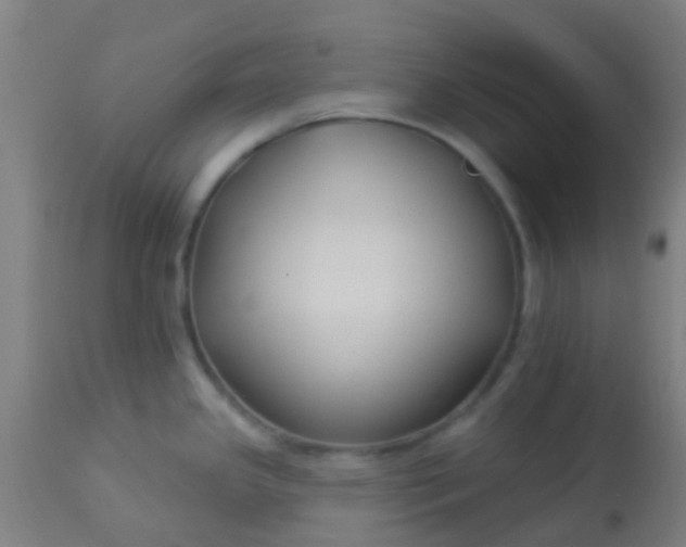 X0000114181341200910221705