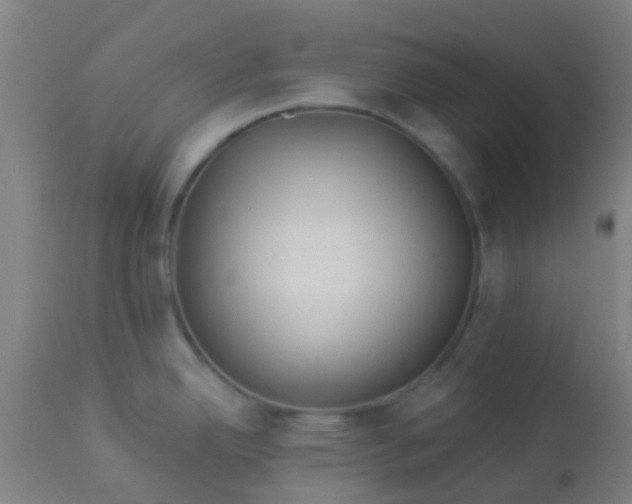 X0000114181342200910221705