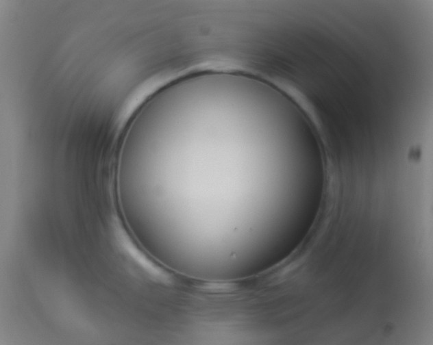 X0000114181343200910221705