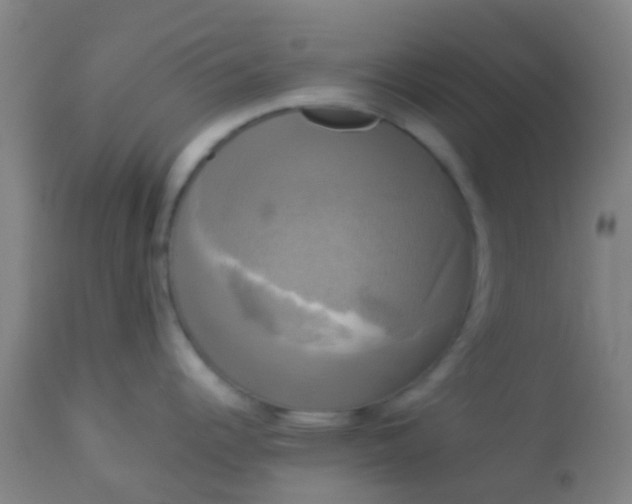 X0000114181344200910221705