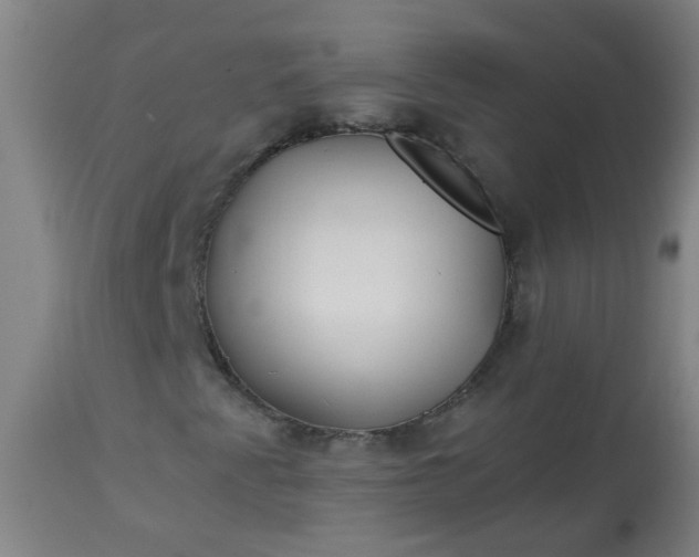 X0000114181345200910221704