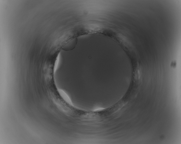 X0000114181346200910221704