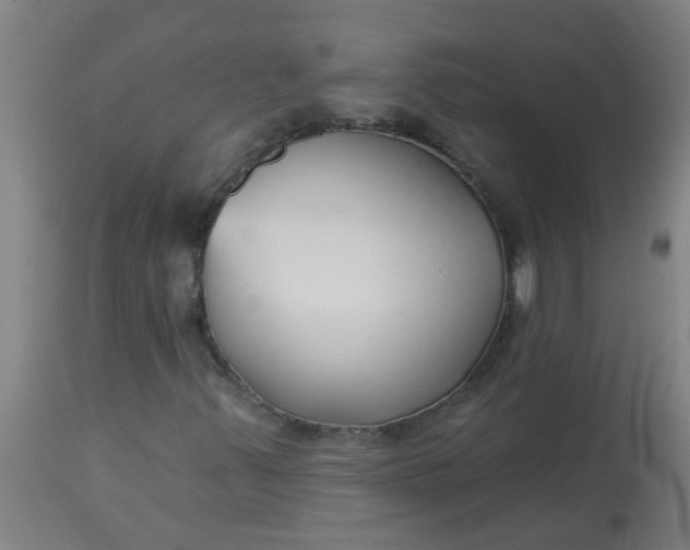 X0000114181347200910221704