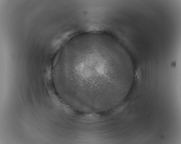 X0000114181348200910221704