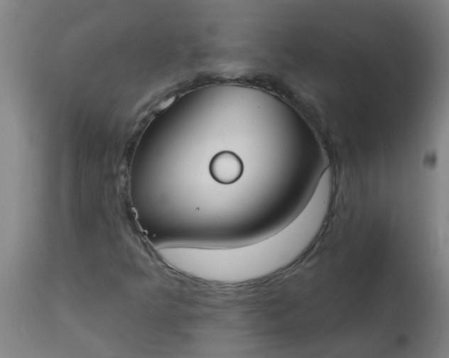 X0000114181349200910221704