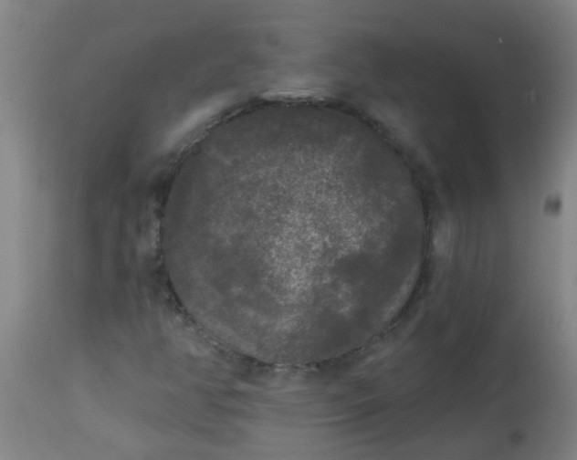 X0000114181350200910221704