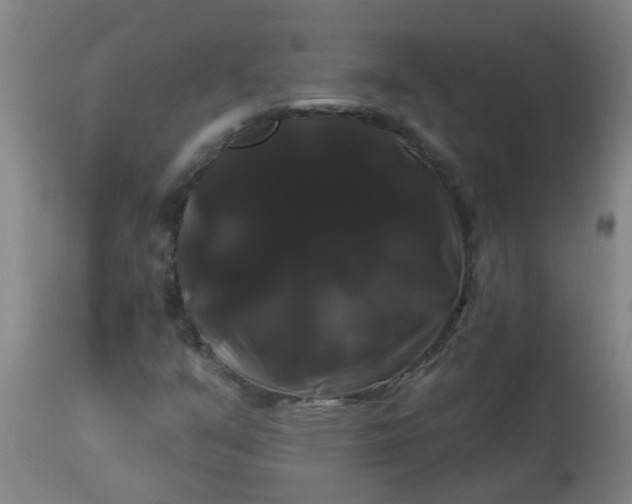 X0000114181351200910221704