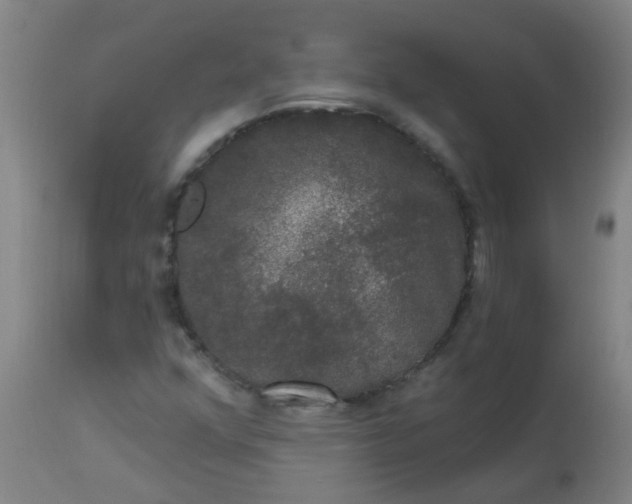 X0000114181352200910221704