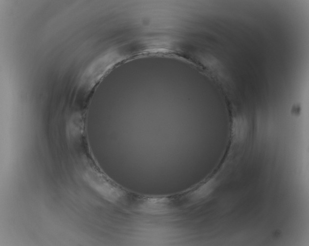 X0000114181353200910221704