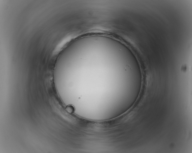 X0000114181355200910221704