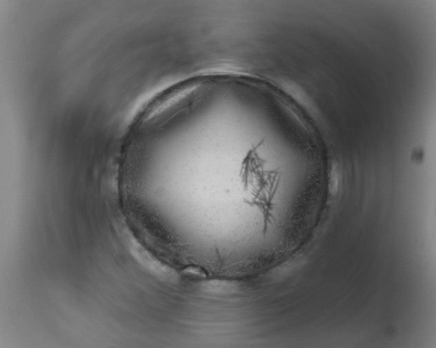 X0000114181356200910221704