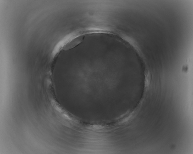 X0000114181357200910221704