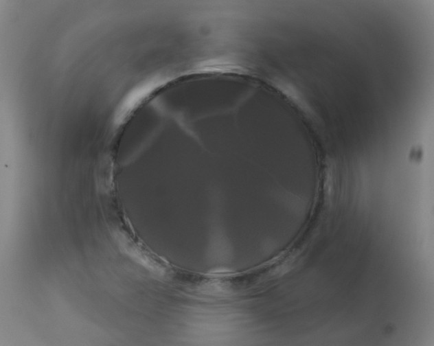 X0000114181358200910221704