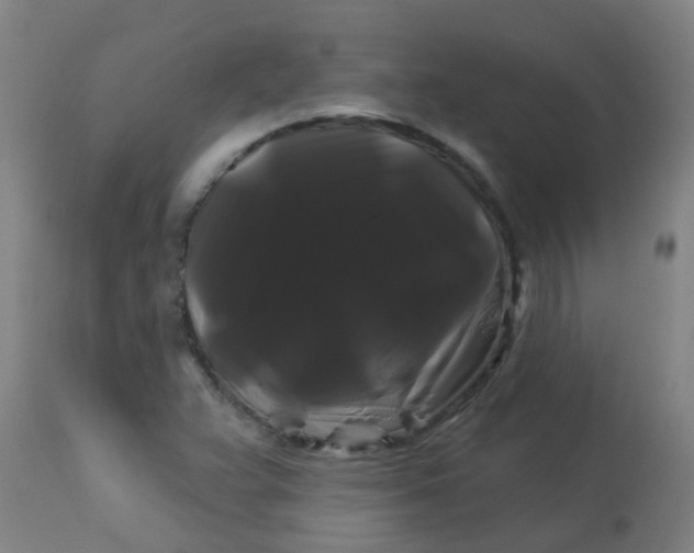 X0000114181359200910221704