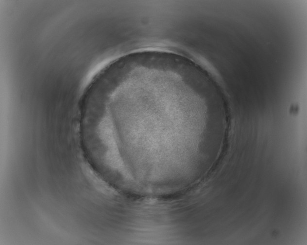 X0000114181360200910221704