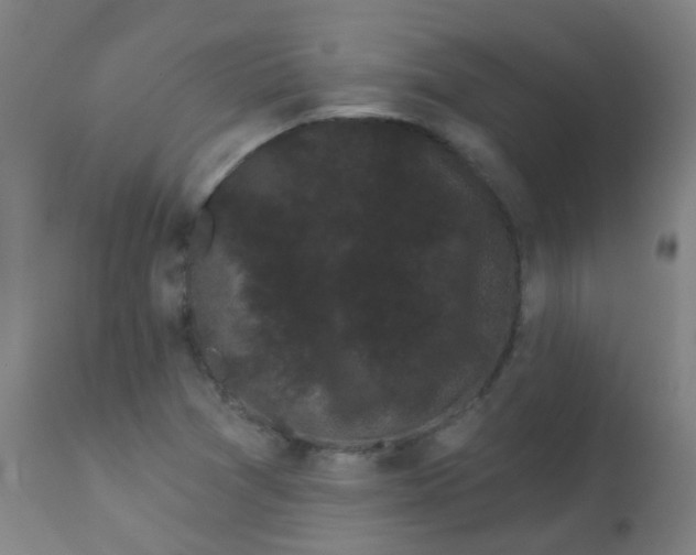 X0000114181361200910221704