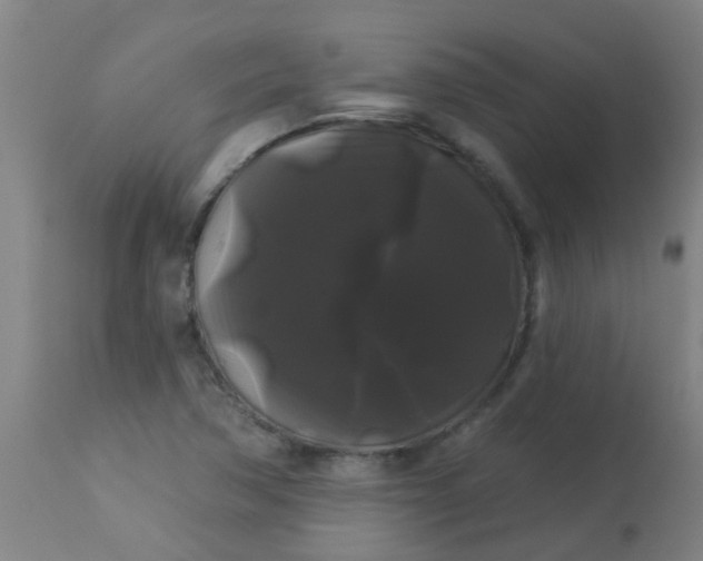 X0000114181362200910221704