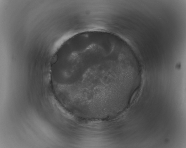 X0000114181363200910221704