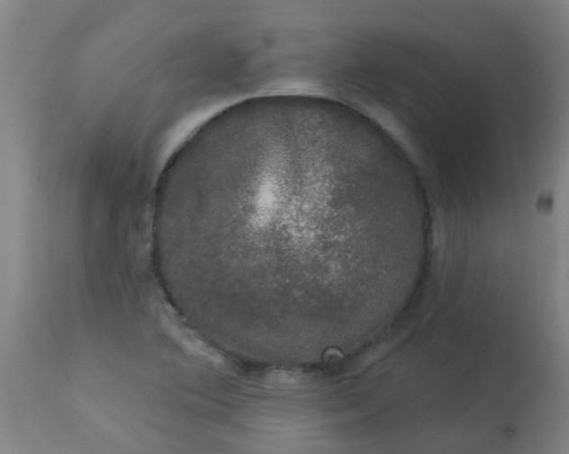 X0000114181364200910221704