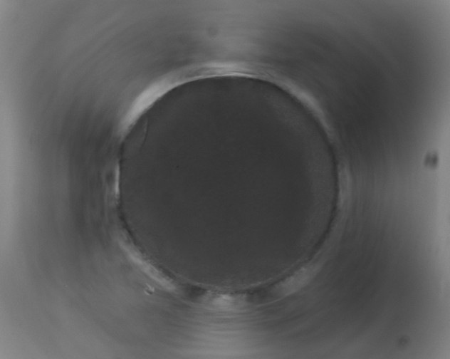 X0000114181365200910221704