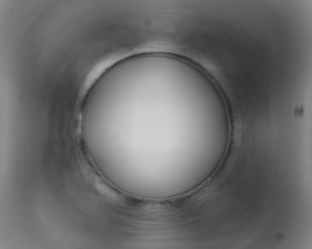 X0000114181366200910221704