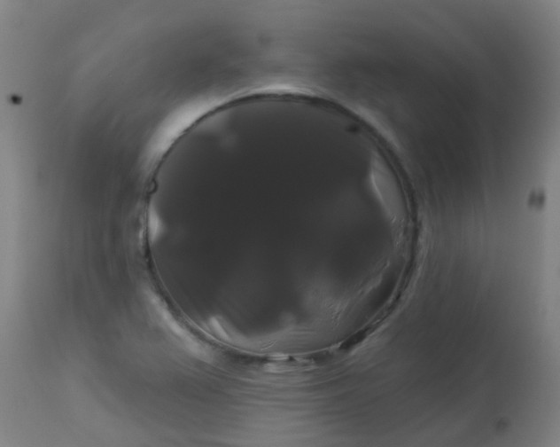 X0000114181367200910221704