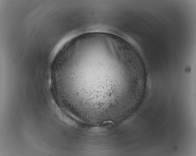 X0000114181368200910221704