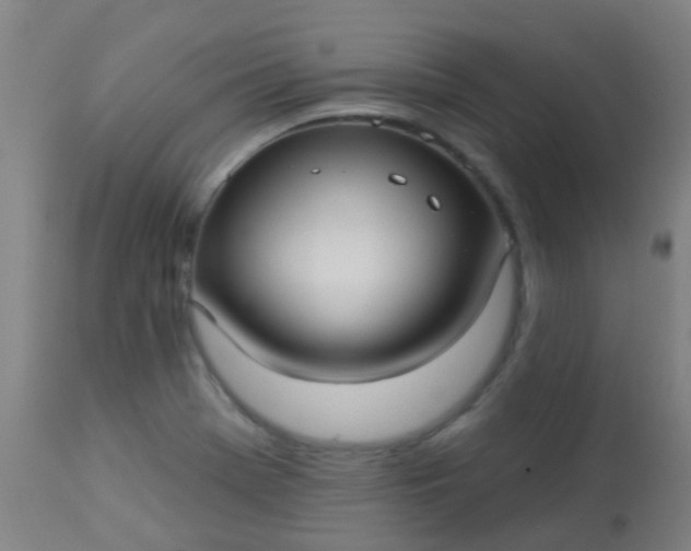 X0000114181369200910221704