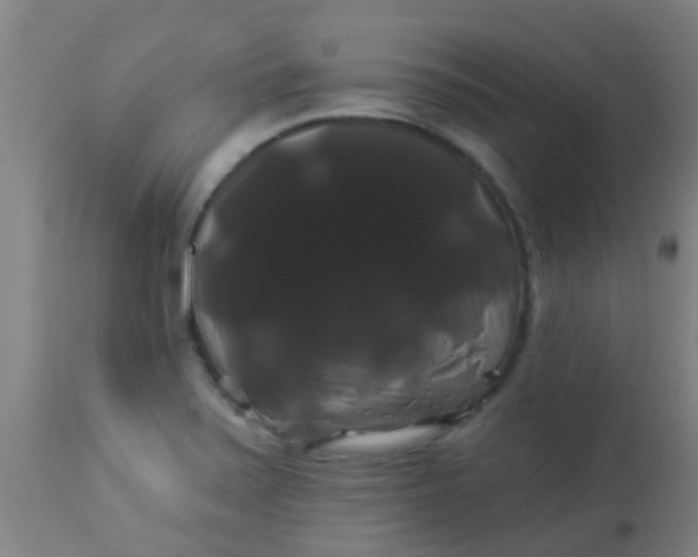 X0000114181371200910221704