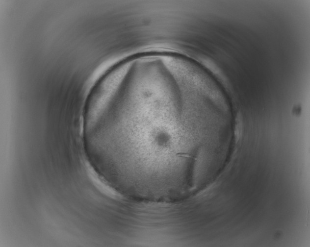 X0000114181372200910221704