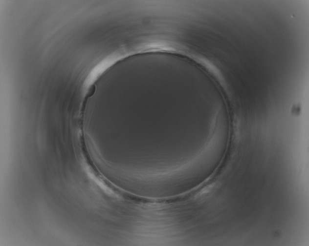 X0000114181373200910221704