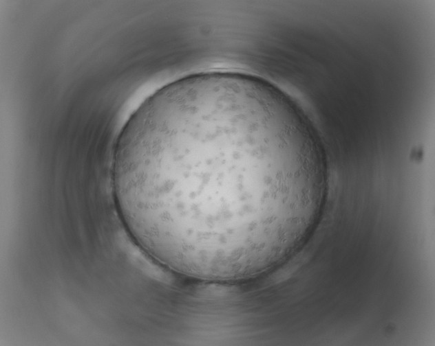 X0000114181374200910221704