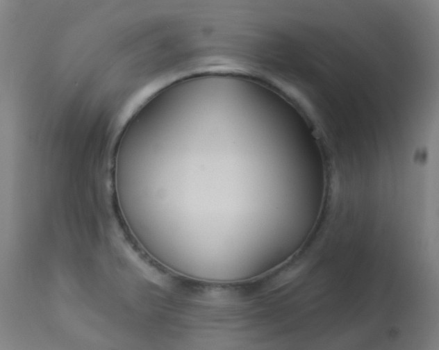 X0000114181375200910221704